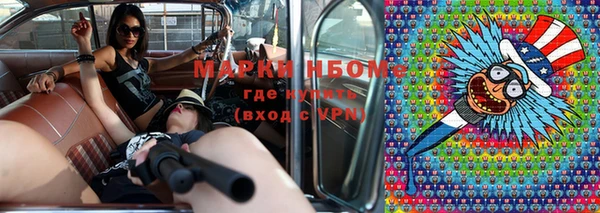 шишки Покачи