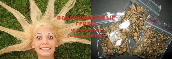 дурь Абинск