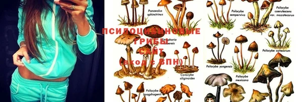 дурь Абинск