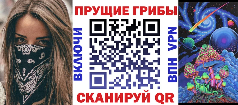 Псилоцибиновые грибы Cubensis  ОМГ ОМГ   Александровск-Сахалинский 